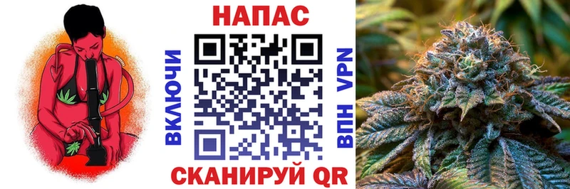 Канабис конопля ссылка на мегу ССЫЛКА Бабаево сколько стоит